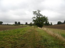 Heading towards Quickbury Farm