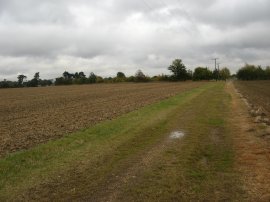 Path nr the M11