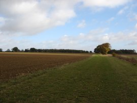 Fields nr Hallingbury Hall