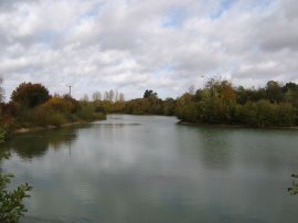 Pond nr Hallingbury Street