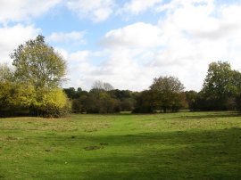 Hatfield Forest