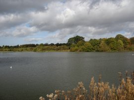 The Flowing River at Harlow Lock