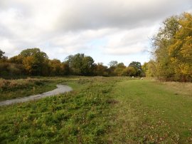 Pincey Brook