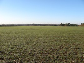 View towards Stansted