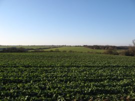 View across to Tilty