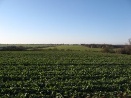 View across to Tilty