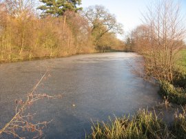 Long Pond, Little Easton