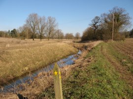 River Chelmer, Duton Hill