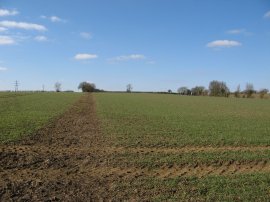 Footpath heading towads Millhill Farm