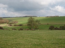 Fields nr Debden Park