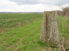 Trig Point FB S4520