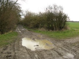 Beards Lane, End of stage 5