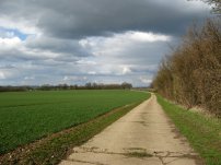 Farm track approaching Newport