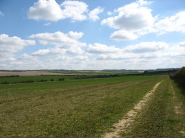 Footpath heading towards Barley