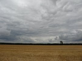 Clouds nr Caldecote