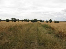 Heading towards Cambridge