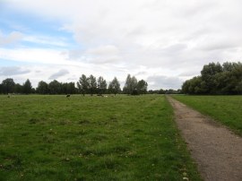 Crossing Stourbridge Common