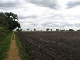 Approaching the Horningsea Road