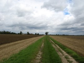 Footpath nr Clayhithe