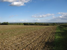 Approaching Coton