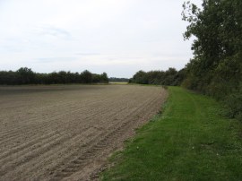 Fields nr Hawk Mill Farm