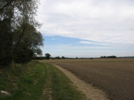 Fields nr Teversham