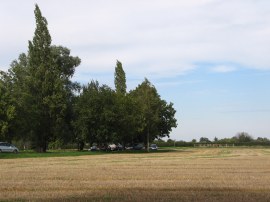 Approaching the car