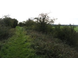 Fleam Dyke