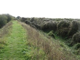 Fleam Dyke