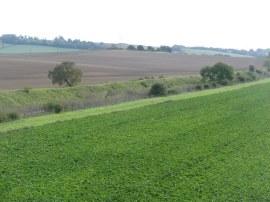 Fleam Dyke from the A11 footbridge