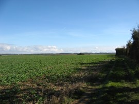 Path at the end of Fleam Dyke