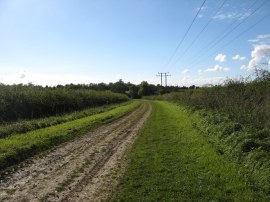 Byway approaching Balsham