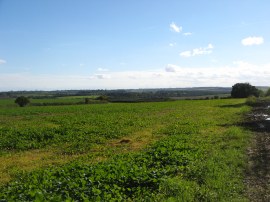 Byway from Balsham