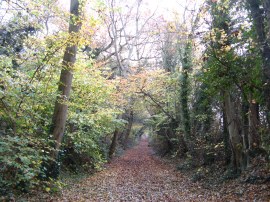 Path up Rivey Hill