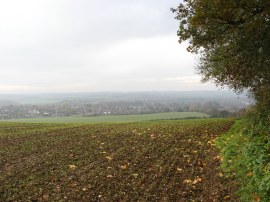 View back to Linton