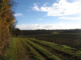 Path heading towards Horseheath