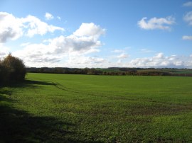 Fields nr Bartlow