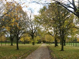 Path nr Steventon End