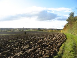 Path nr Ashdon