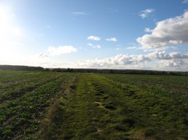 Approaching Butlers Farm