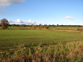 Fields nr Sadlers Farm