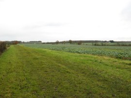 Approaching Butlers Farm