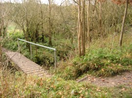 Footbridge over Debden Water