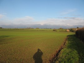 Fields approaching Peyton Hall