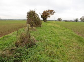 Fields nr Rickling Hall