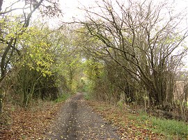 Byway from St Helens Chapel