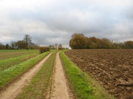 Path nr Rickling Hall