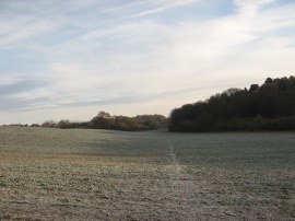 Footpath to Manuden