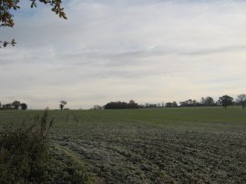 Approaching Manuden