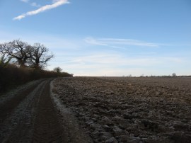 Path nr Parsonage Farm